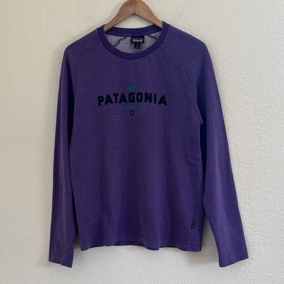 Patagonia Organic Cotton 1973 Climb Clean Hex Lightweight Crew Sweatshirt Medium - Picture 2 of 12